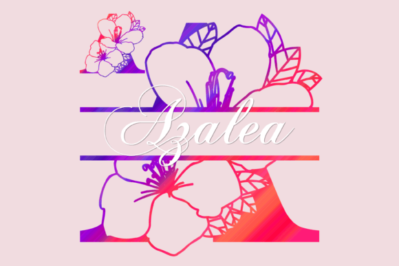 Azalea Split: The Decorative Font for Scroll-Stopping Marketing