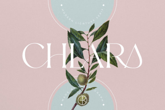 Chlara Font: Elevating Small Business Branding with Elegant Serif Typography