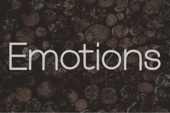 Emotions: A Clean Sans Serif Font for Small Business Branding