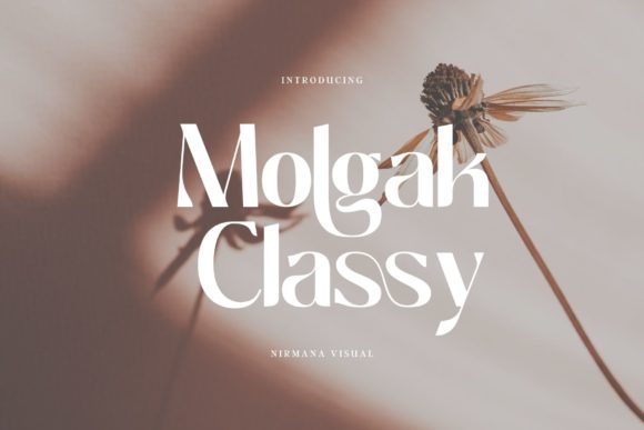 Molgak Classy: A Modern Sans Serif for Editorial Design