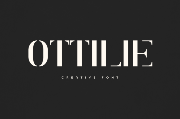 Ottilie Serif Font Review for Campaign Design