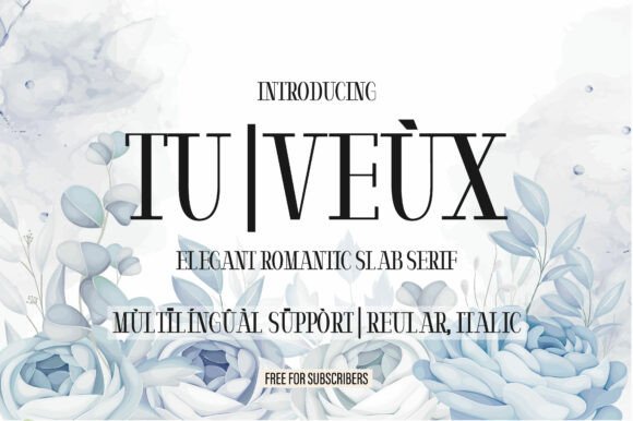 Tu Veùx: A Romantic Slab Serif Font for Makers